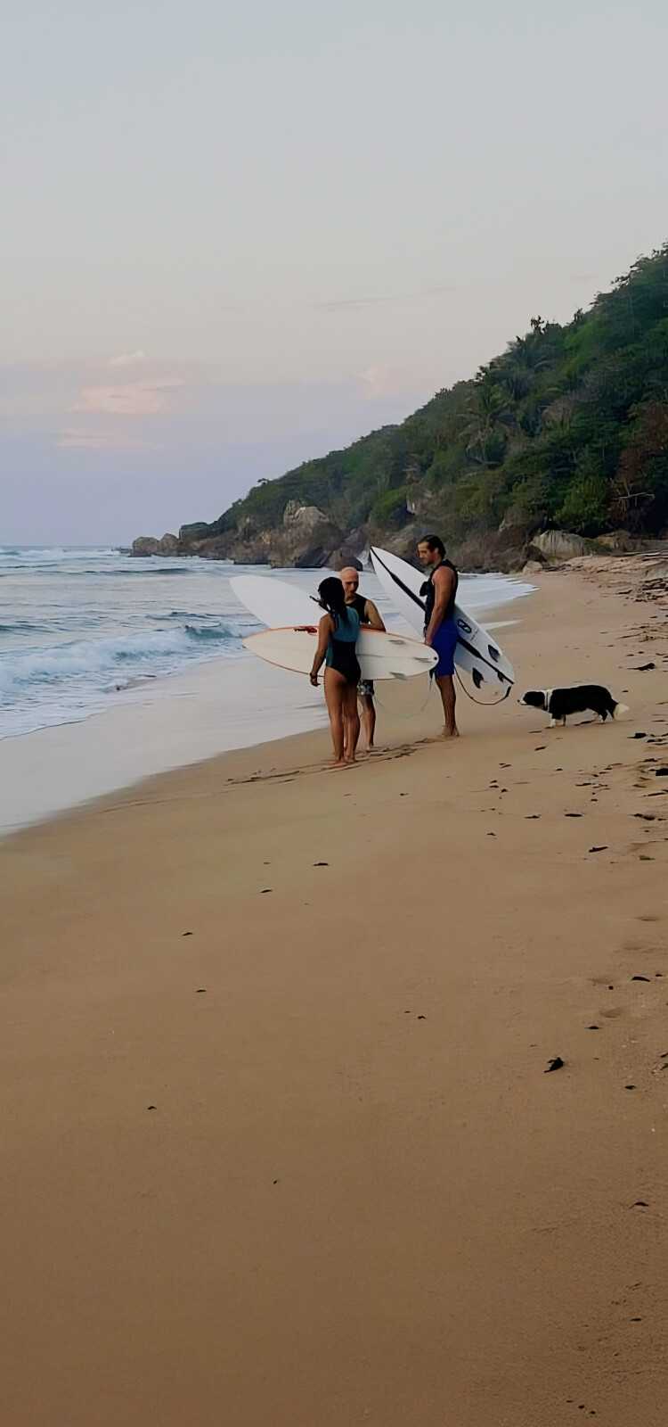 Bella Surf background